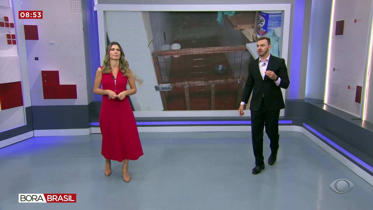 Cães em condições precárias são resgatados de porão de loja em SP