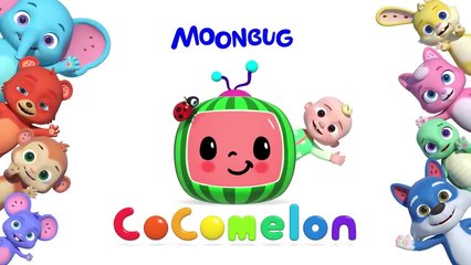 Fast vs Slow Dance Party (Tortoise and the Hare Song)  _ CoComelon Nursery Rhymes & Kids Songs