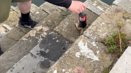 Man injects extra dose of excitement into Isle of Man holiday with impromptu crab fishing fun