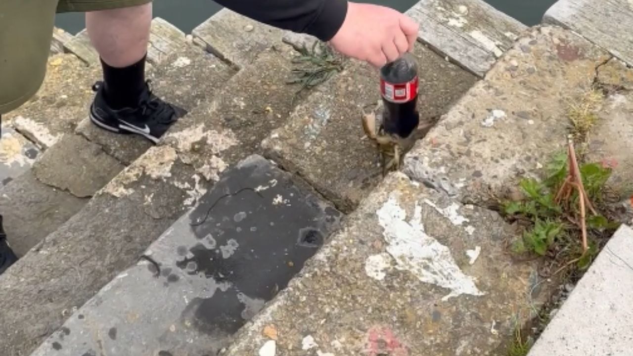 Man injects extra dose of excitement into Isle...