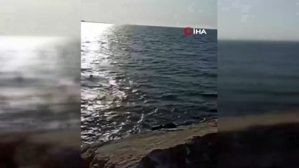 Yalova'da Boğulma Tehlikesi Geçiren Genç Böyle Kurtarıldı