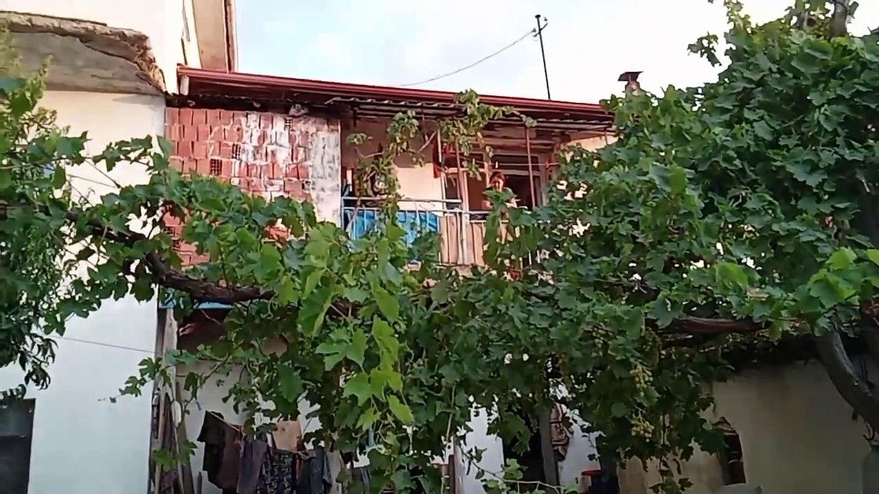 10 Ağustos 2024 köy