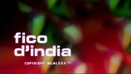 FILM Fico d'India (1980)