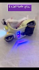 روائع عالمية الجزء الخامس