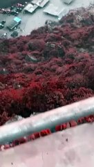 VID-20240809-WA0078(1)