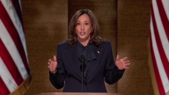 해리스, 민주당 대선 후보 수락... 통합과 상식의 대통령 될 것 / YTN