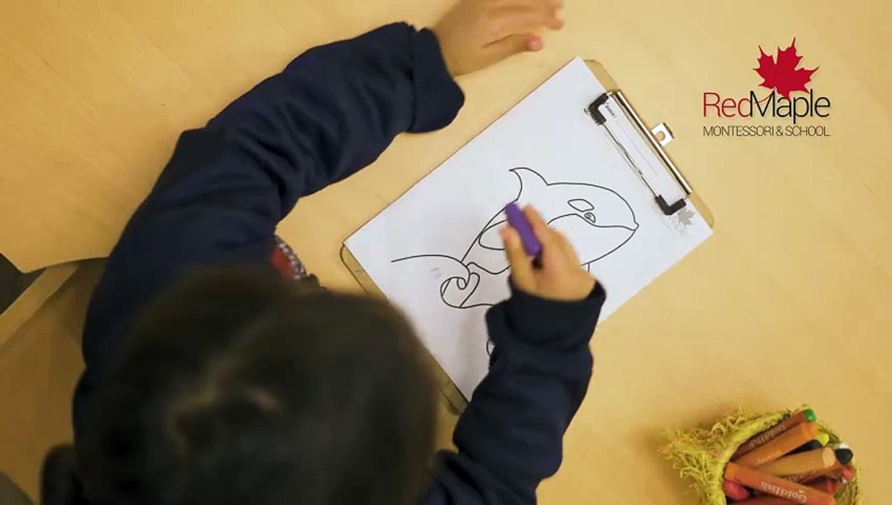 ISB - RED MAPLE - Drawing Activity