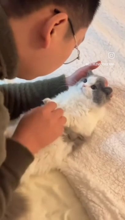 Cat Lovers