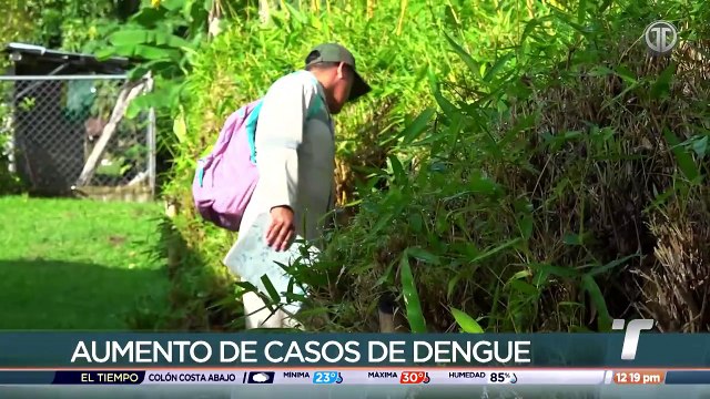 Recomiendan no automedicarse de presentar síntomas del dengue
