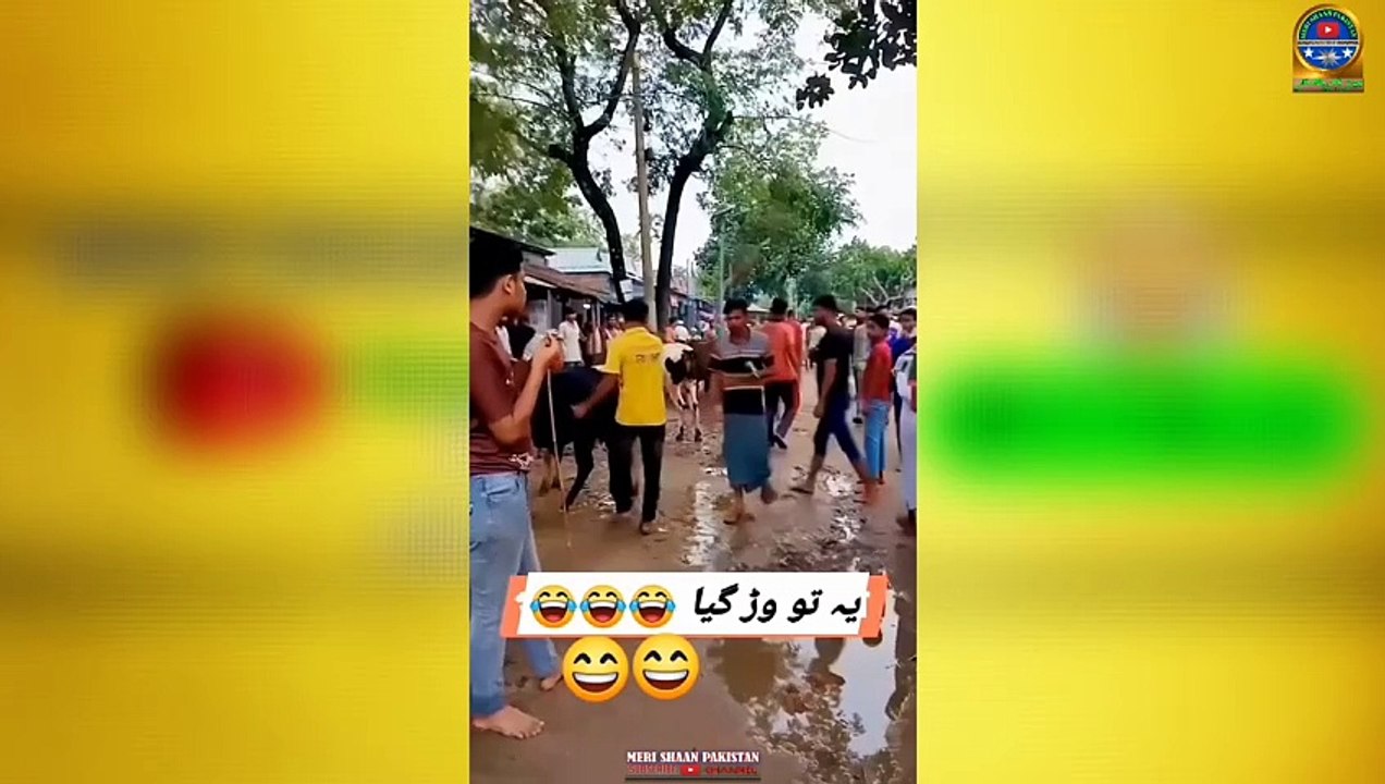 Pakistani Stupid Funny People  happens only in pakistan  funny moments(720P_60FPS)