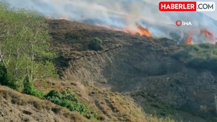 Sinop'ta çıkan örtü yangını söndürüldü