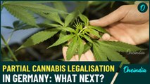 PARTIAL CANNABIS LEGALIZATION IN GERMANY WHAT HAPPENS NEXT