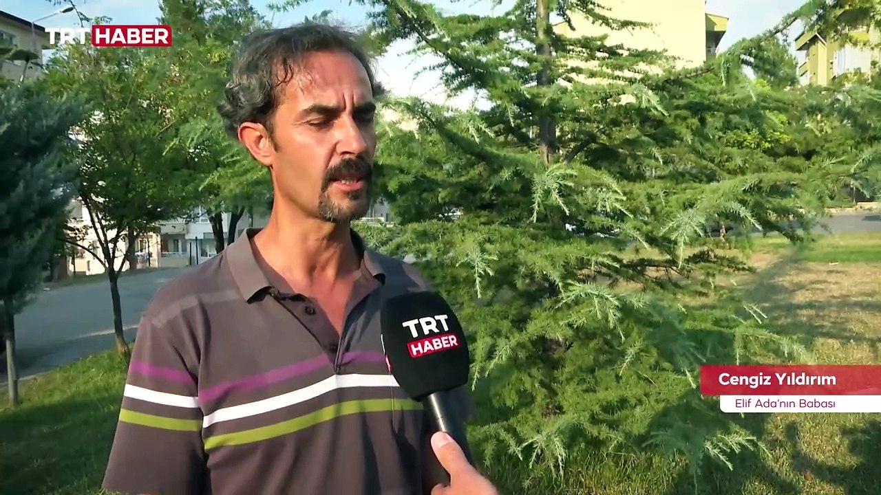 Ankara'da 5 yaşındaki çocuk başıboş köpeklerin saldırısına uğradı