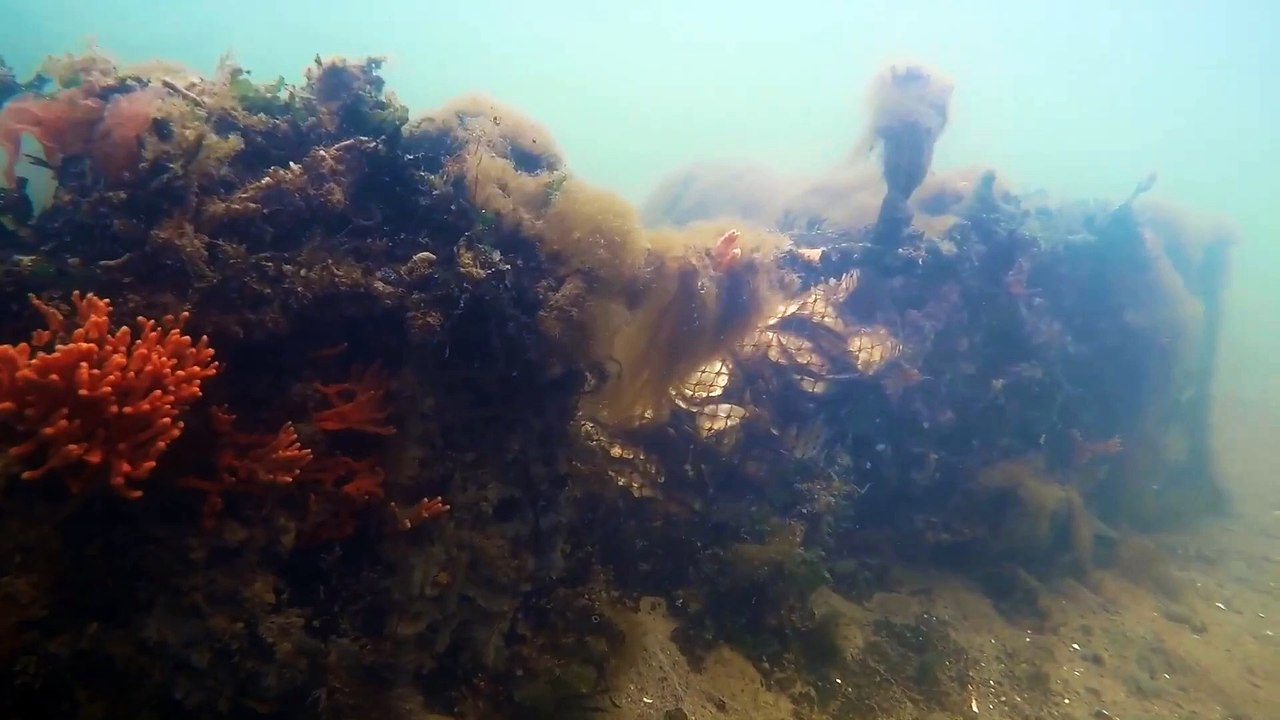 Holding Back the Tide Trailer