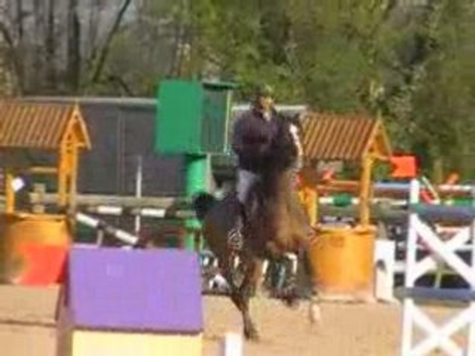 Percute du Murger - Arnas