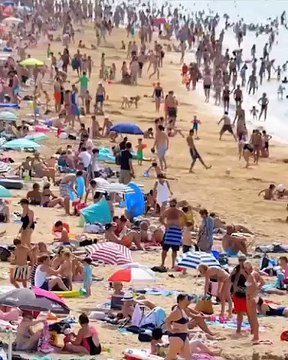 Cette ville m'a vu grandir et grossir : Kev Adams présente L'humour à la plage à Juan les Pins