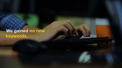 Michael Tesauro Scam Exposed