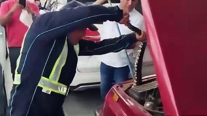 ext-serpiente-en-vehiculo-230824