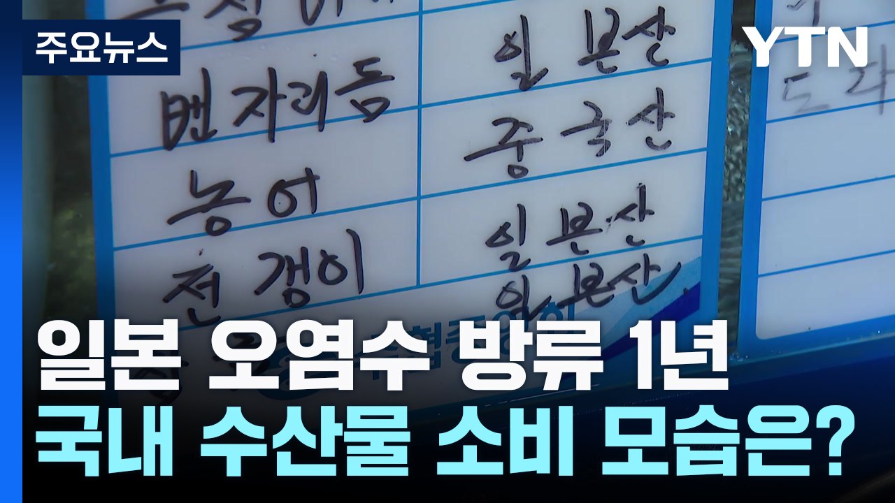 일본 오염수 방류 1년...국내 수산물 소비 모습은? / YTN