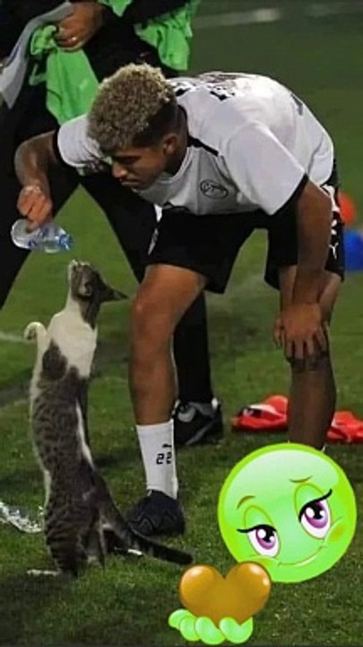 Omar Khedr: El Jugador * Que Marcó el Gol de la Solidaridad