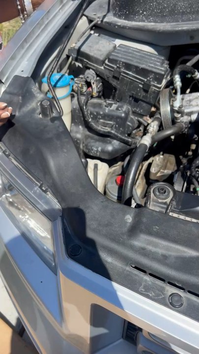 She’s The Best Man