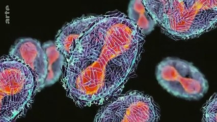 Épidémie de Mpox : l'Europe doit-elle s'inquiéter ? | ARTE Europe l'hebdo
