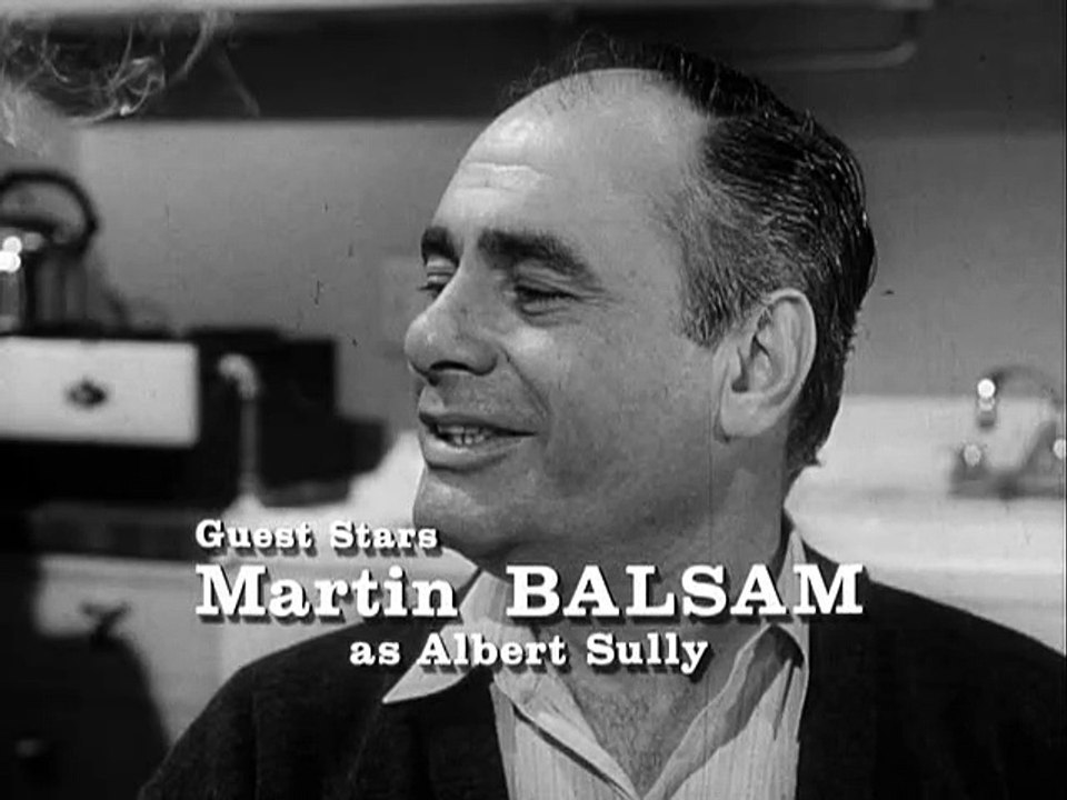 S01E29 - The Odd Man Affair