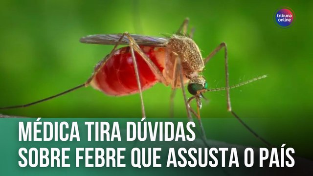 Médica tira dúvidas sobre febre do Oropouche | Fala, Doutora!