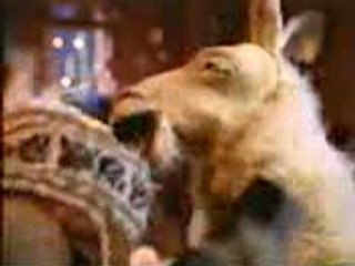 La Llama Que Llama - Parque De Bomberos