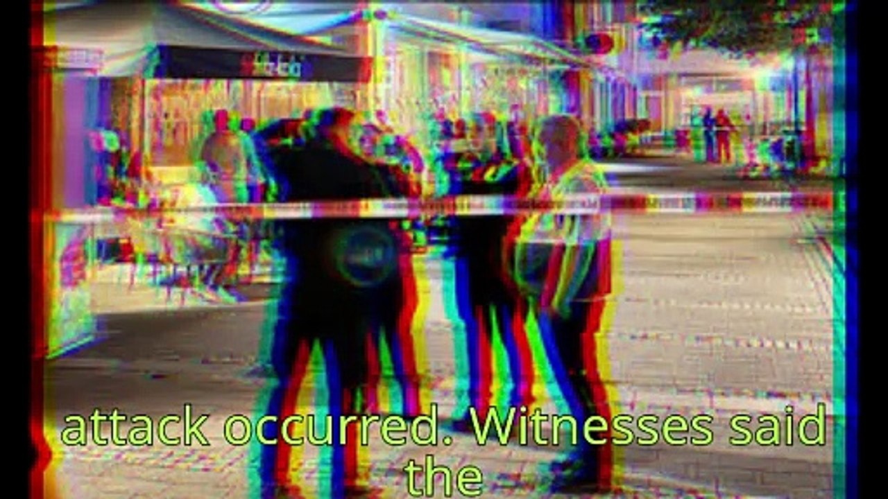 Random' stabbing spree at festival in Germany leaves 3 dead, others injured: report