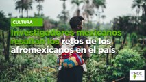 Investigadores mexicanos resaltan los retos de los afromexicanos en el país
