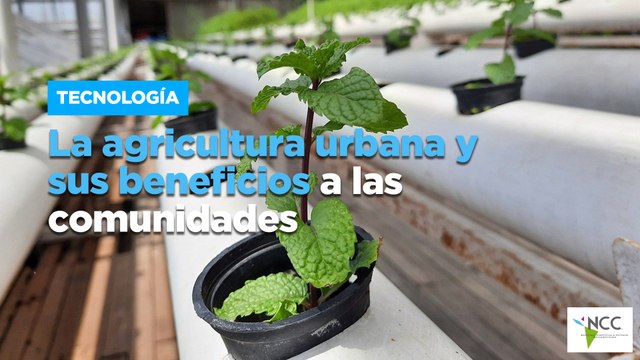La agricultura urbana y sus beneficios a las comunidades