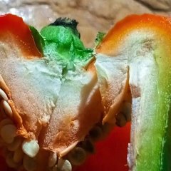 -ANDRÉS DE JESÚS VÉLEZ FRANCO- LA TELEMEDICINA EN LATINOAMÉRICA (PARTE 1) (@AndresdeJesus90)