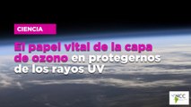 El papel vital de la capa de ozono en protegernos de los rayos UV