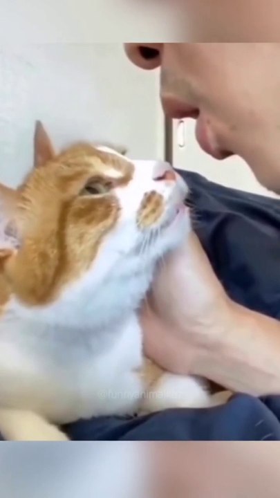 Funny animal 07.