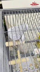 صباحكم ورد وسعادة يارب