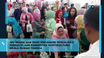 Ibu Iriana Dan Oase KIM Hadiri Sosialisasi Pengelolaan Komoditas Hortikultura Skala Rumah Tangga