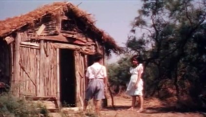 Τα δελφινάκια του Αμβρακικού (1993)