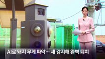 AI로 돼지 무게 파악…새 감지해 완벽 퇴치