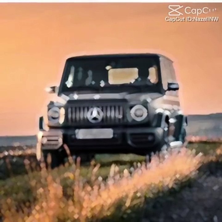 Car lover
