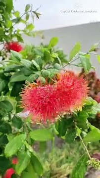 lvtemp_c1c0f4a5-cbdc-4cbd-9700-a746b772a6ba4