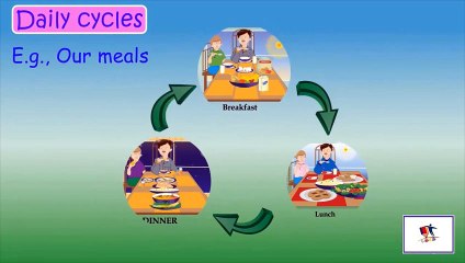 Daily Cycles In Our Life