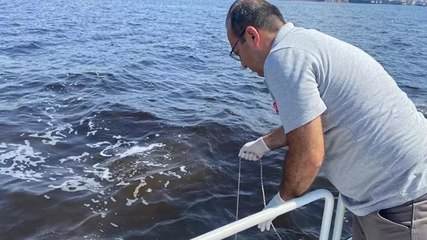İzmir Körfezi’ndeki balık ölümlerine inceleme