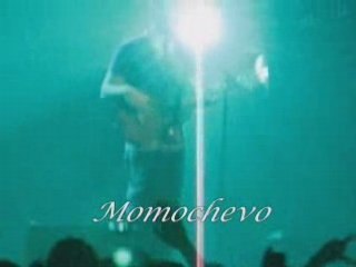 Zenith de Nantes 11 avril 2008 15