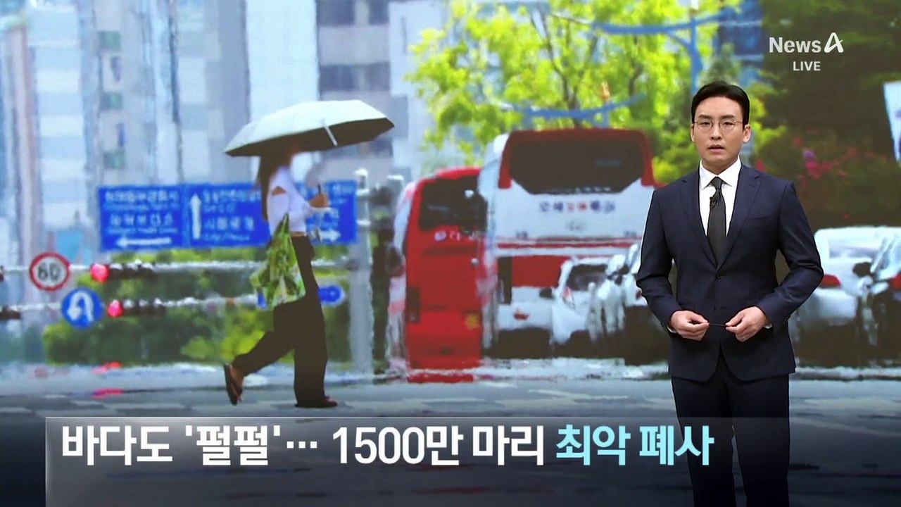바다도 ‘펄펄’…양식어류 1500만 마리 최악 폐사