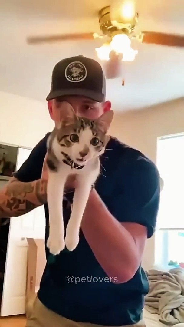 ⁣The last one #cat #funnycats #pets #funnypets #shorts