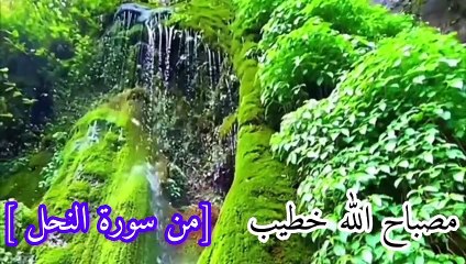 صلوا على النبي beautiful video