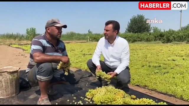 Üzüm Üreticileri TMO'nun Fiyat Açıklamasını Bekliyor