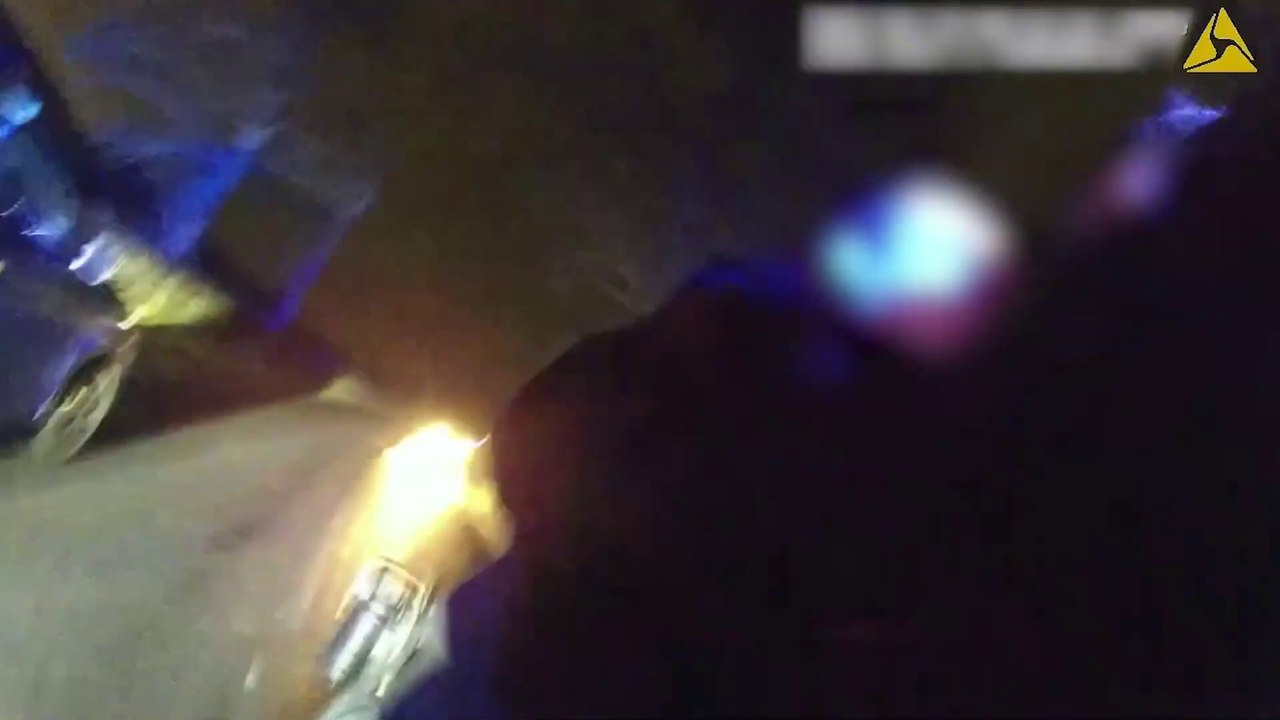 Police punched and pinned to ground after pulling driver over