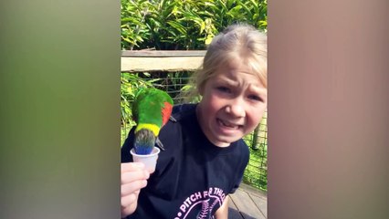 TRY NOT TO LAUGH _ Funny Babies At The Zoo  - LAUGH TRIGGER(1080P_HD)